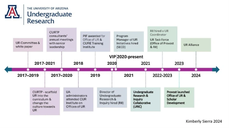 A timeline of undergraduate research programming at the University of Arizona starting in 2017 through 2024