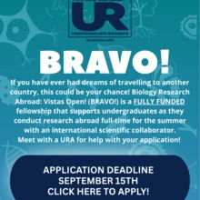 Bravo poster showing applications are due September 15.  Click link to read full informational text.